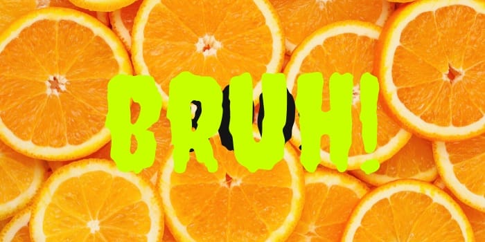 Your Guide to Common Roblox Slang Meanings 1 roblox slang bruh