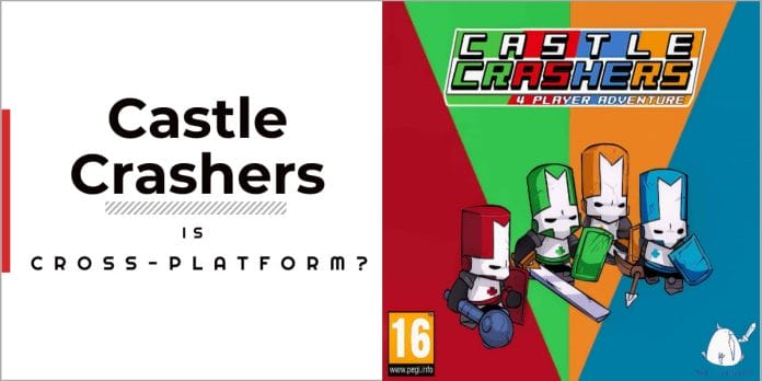 Playing as 2 players simultaneously : r/castlecrashers