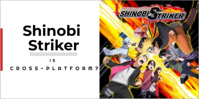 Is Shinobi Striker Cross-play
