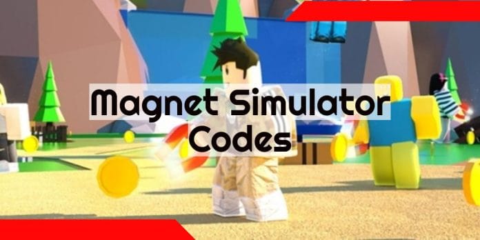 Magnet Simulator Codes