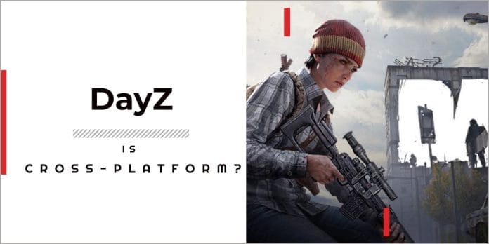Is DayZ Cross-platform