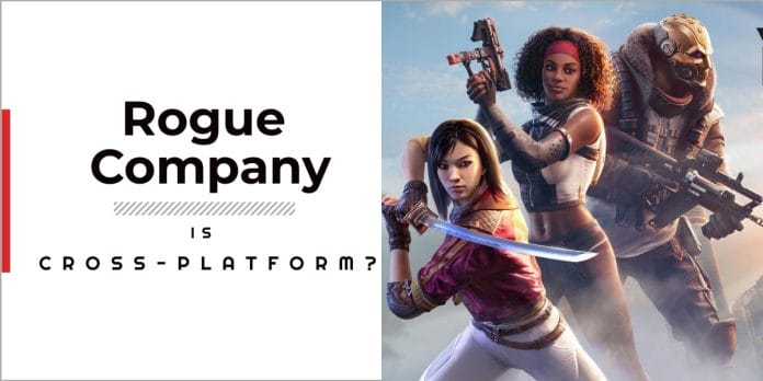 Is Rogue Company Cross-Play