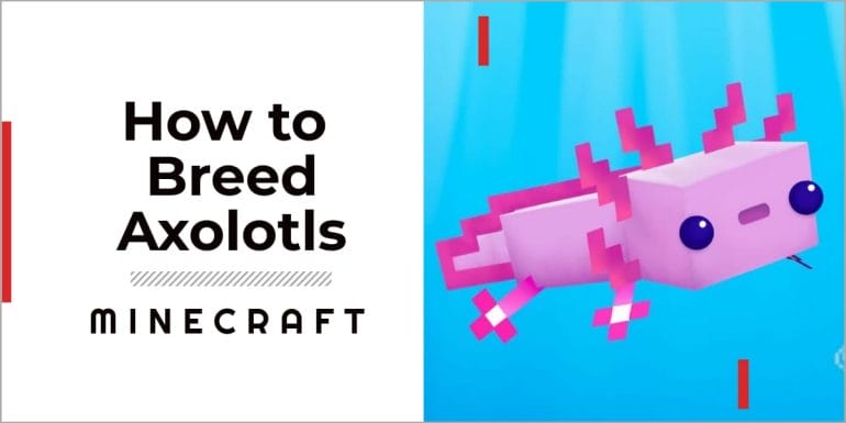how to breed axolotls in minecraft