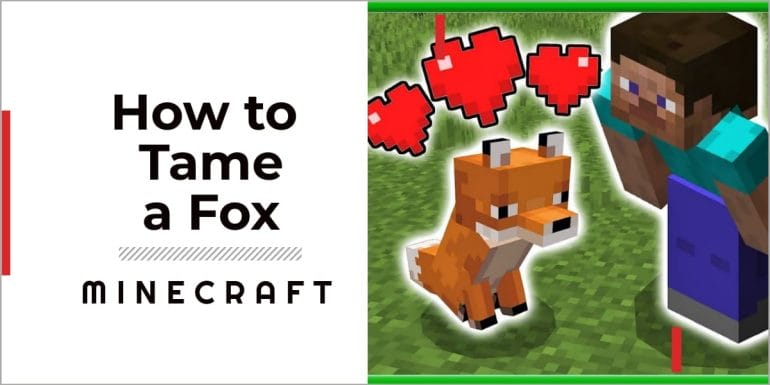 How to tame a fox in Minecraft