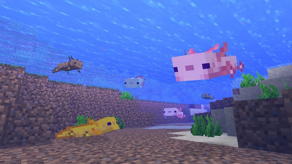 axolotls in Minecraft