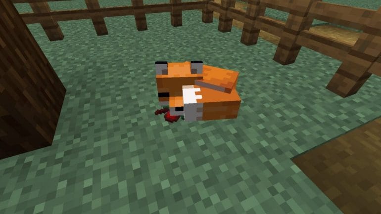 trap the fox in Minecraft