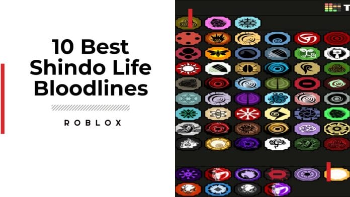 Best Bloodlines in Shindo life