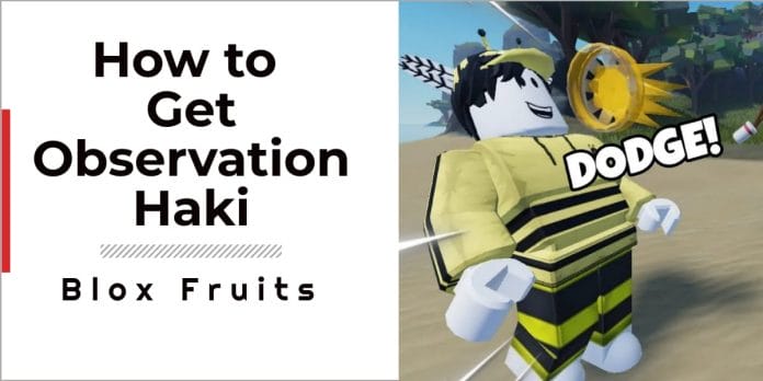 How to Get Observation Haki in Blox Fruits? Complete Guide