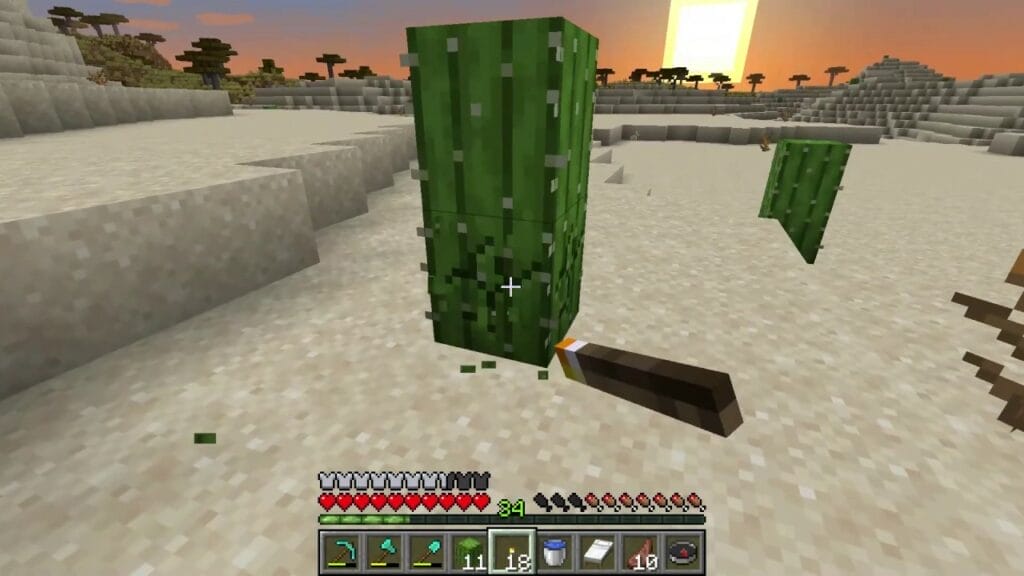 Where to find Cactus blocks