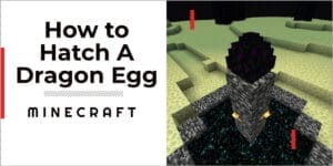 How To Hatch A Dragon Egg In Minecraft