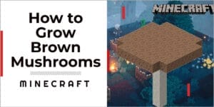How To Grow Brown Mushrooms In Minecraft