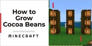 How to grow cocoa beans in Minecraft