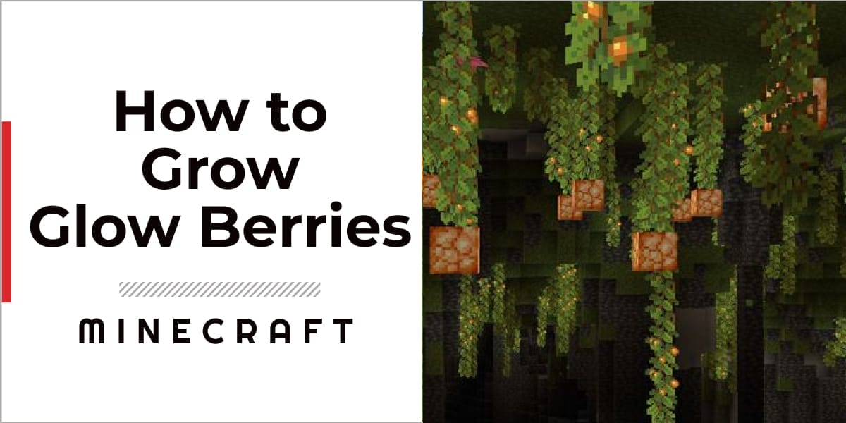How To Grow Glow Berries In Minecraft A Complete Guide GameGrinds