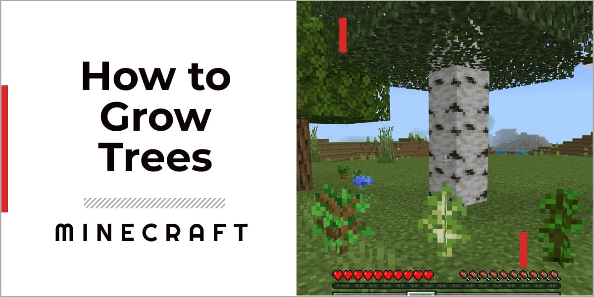 How To Grow Trees In Minecraft 2023 A Complete Guide GameGrinds