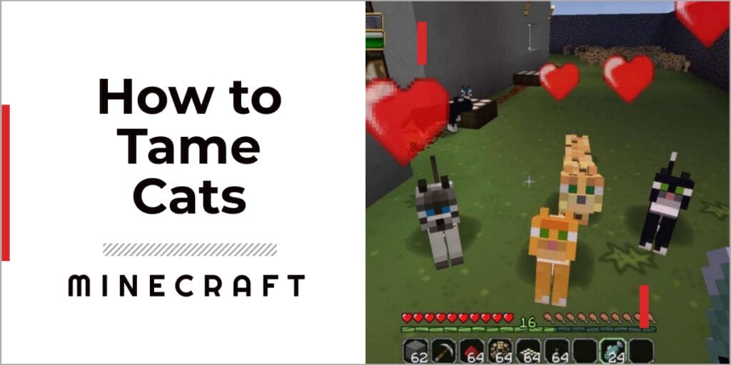 how to tame a cat in minecraft