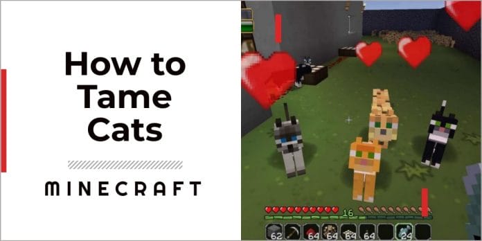 How To Tame A Cat In Minecraft - Make A Feline Friend 1 how to tame a cat in minecraft