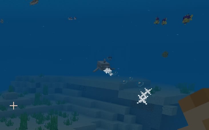 what do dolphins eat in minecraft