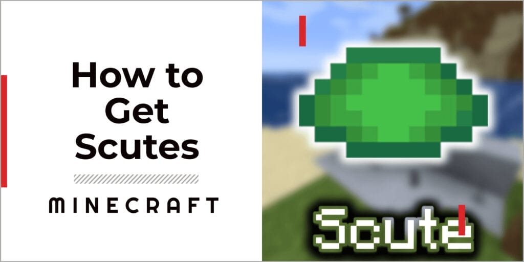 How To Get Scutes In Minecraft 2023 - A Complete Guide 1 How To Get Scutes In Minecraft