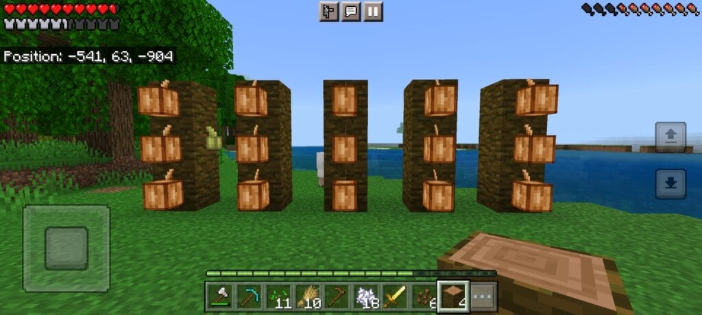 Cocoa Beans in Minecraft