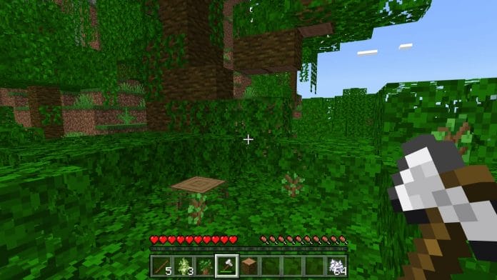How to grow jungle tree in Minecraft