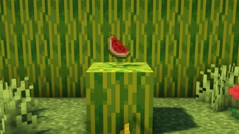 Melons in Minecraft