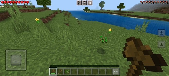 Where to Get Wheat Seeds in Minecraft?