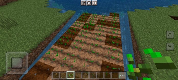 How To Grow Wheat In Minecraft 2023- A Staple For Any Beginner 5 Plant the Seeds