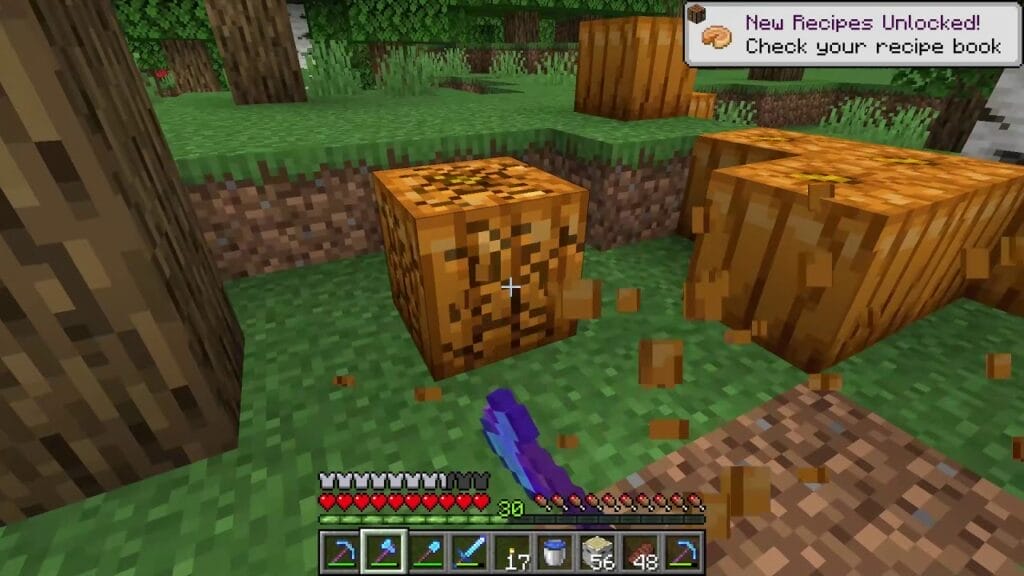 How To Grow Pumpkins In Minecraft 2023 - Complete Guide 3 How to get Pumpkin Seeds