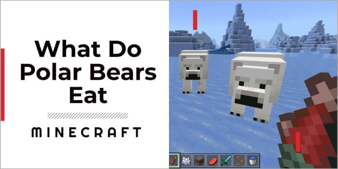 What Do Polar Bears Eat In Minecraft?