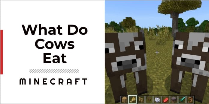 What do Cows Eat in Minecraft