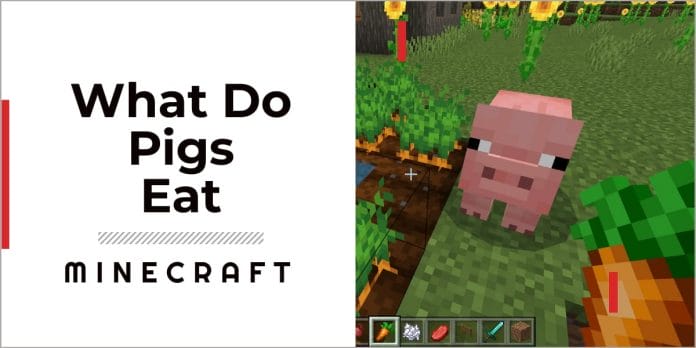 What do Pigs Eat in Minecraft