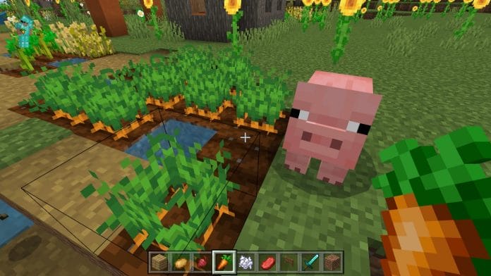 What Do Pigs Eat In Minecraft - A Complete Guide 3 Carrots