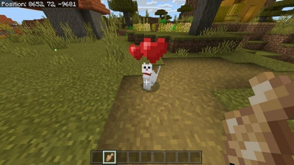 Having a Tamed Cat in Minecraft