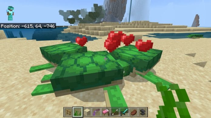 How To Get Scutes In Minecraft 2023 - A Complete Guide 3 Breed the Turtles