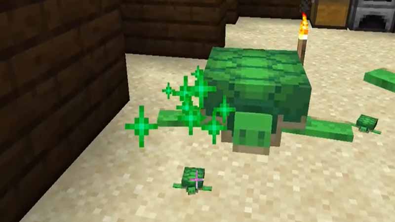 How To Get Scutes In Minecraft 2023 - A Complete Guide 5 Feed the Baby Turtles