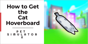 cat hoverboard pet simulator x