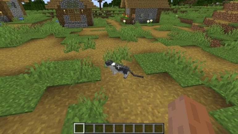 How To Tame A Cat In Minecraft - Make A Feline Friend | GameGrinds