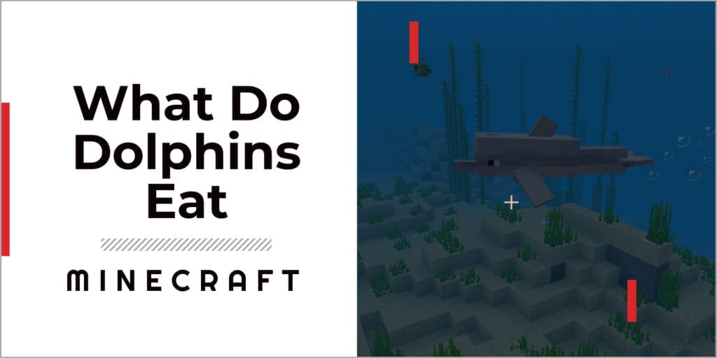 What do Dolphins Eat in Minecraft