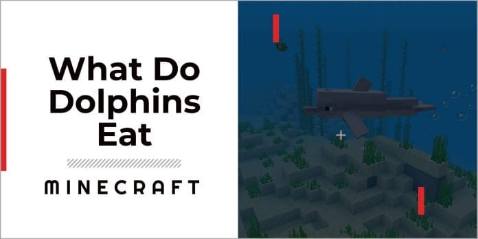 What do Dolphins Eat in Minecraft