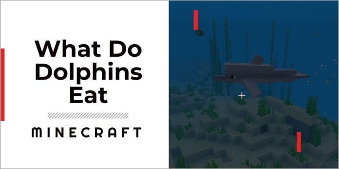 What Do Dolphins Eat In Minecraft? 2 What do Dolphins Eat in Minecraft