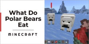 What Do Polar Bears Eat In Minecraft