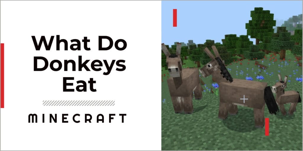 What Do Donkeys Eat In Minecraft? 1 What Do Donkeys Eat In Minecraft