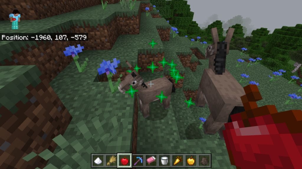 What Do Donkeys Eat In Minecraft? 5 Apple