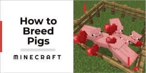 how to breed pigs in minecraft