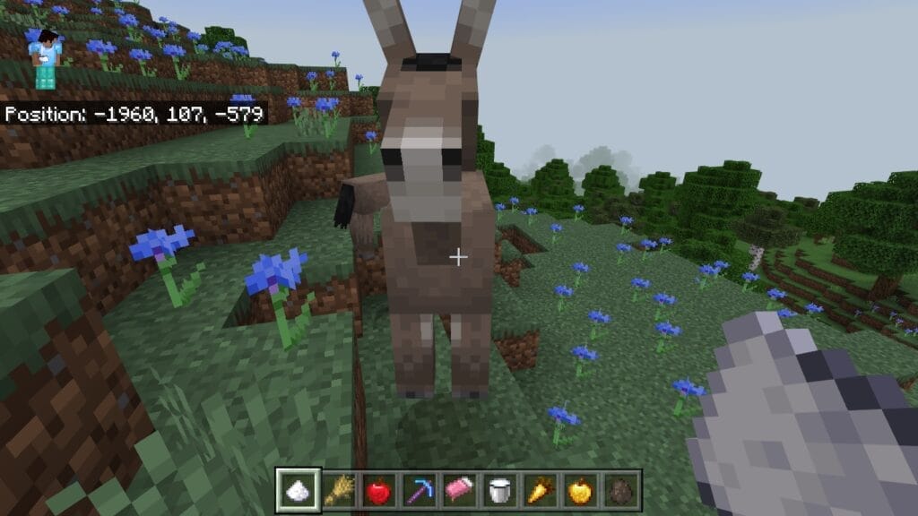What Do Donkeys Eat In Minecraft? 3 Sugar