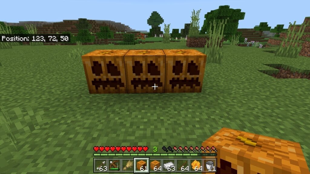 What is a Carved Pumpkin in Minecraft