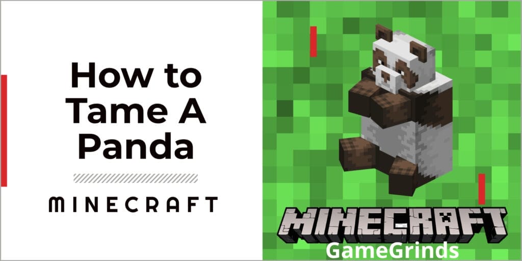 How to Tame a Panda in Minecraft