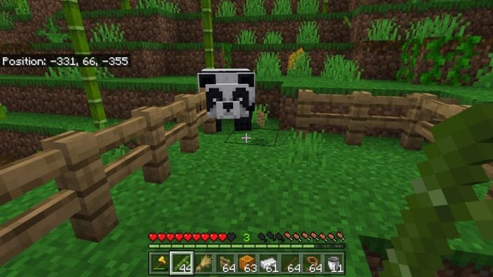 How To Tame A Panda In Minecraft - Gain A Fluffy Friend 5 Step 4: Lure The Pandas In
