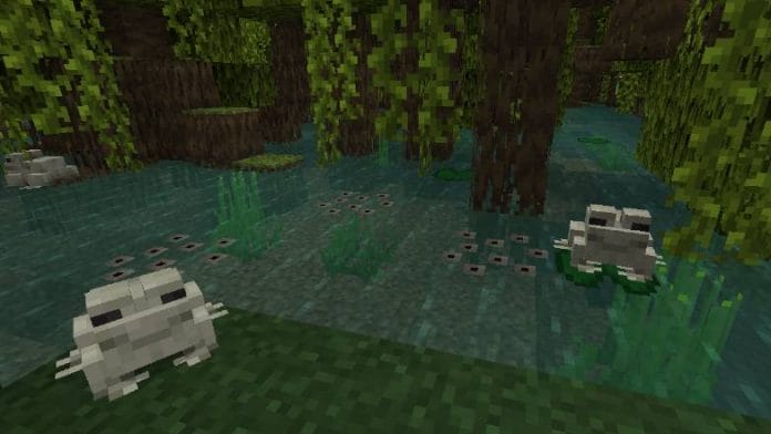 Tadpoles and frogs in minecraft