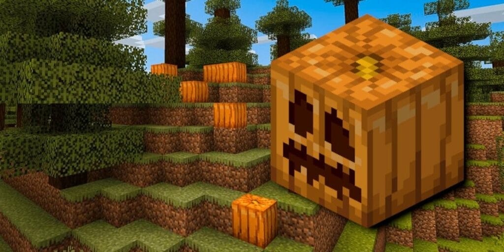 How To Grow Pumpkins In Minecraft 2023 - Complete Guide 1 Pumpkin in Minecraft